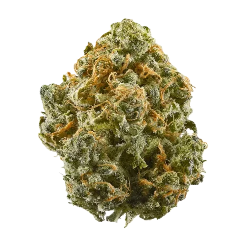 Blue Dream- Sativa